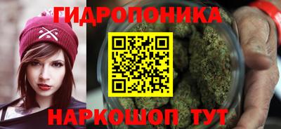 гидропоника Коммунар